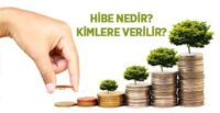 Devlet Destekli Hibe Kredisi Nedir? Nasıl Alınmalı? Geri Ödenecek mi?