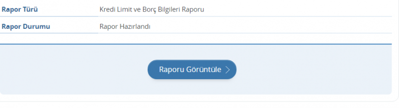 Edevlet Kredi Risk Raporu Nasıl Alınır? YeniKrediNotlari.om