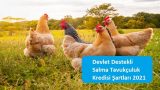 Devlet Destekli Salma Tavukçuluk Kredisi Şartları 2021