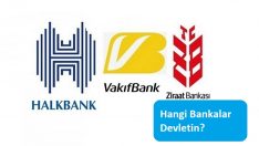 Hangi Bankalar Devletin?