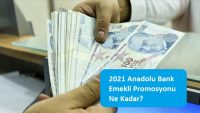 2021 Anadolu Bank Emekli Promosyonu Ne Kadar?