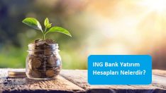 ING Bank Yatırım Hesapları Nelerdir?