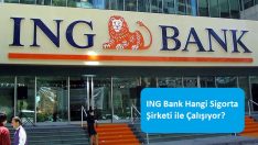ING Bank Hangi Sigorta Şirketi ile Çalışıyor?