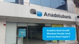 Anadolu Bank Kredili Mevduat Hesabı Limit Artırma Nasıl Yapılır?